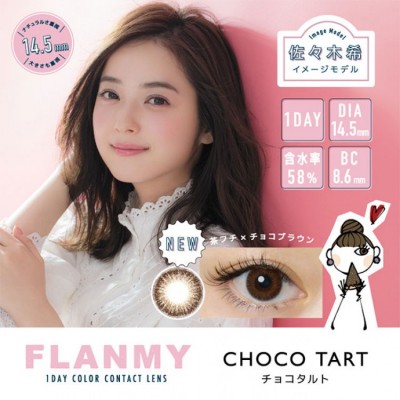 FLANMY Choco Tart 10片裝